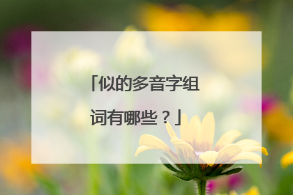 似的多音字组词有哪些？