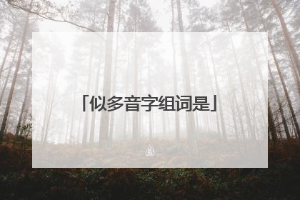 似多音字组词是