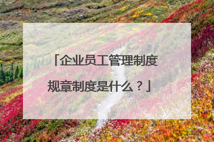 企业员工管理制度规章制度是什么？