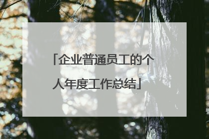企业普通员工的个人年度工作总结