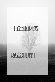 企业财务规章制度