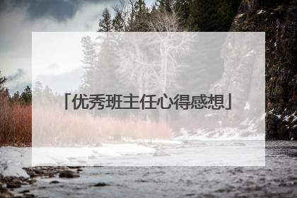 优秀班主任心得感想