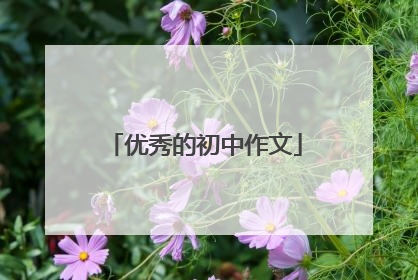 优秀的初中作文