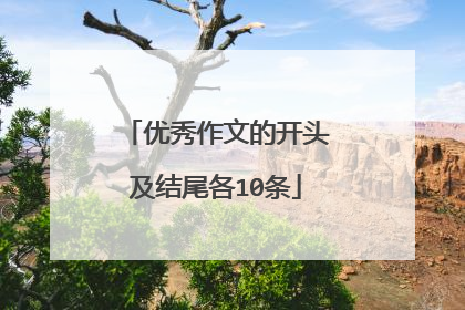 优秀作文的开头及结尾各10条