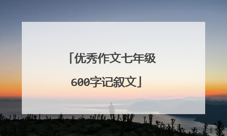 优秀作文七年级600字记叙文