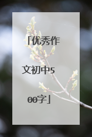 优秀作文初中500字