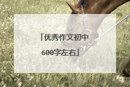 优秀作文初中600字左右