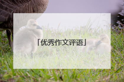 优秀作文评语