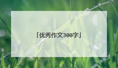 优秀作文300字