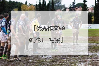 优秀作文500字初一写景