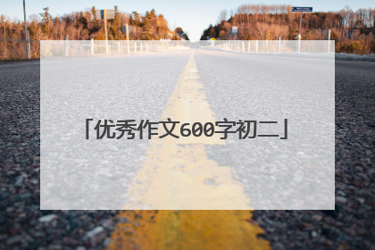 优秀作文600字初二