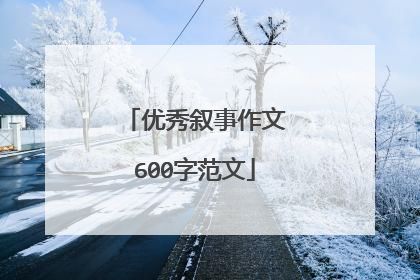优秀叙事作文600字范文
