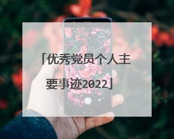优秀党员个人主要事迹2022