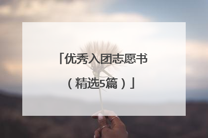 优秀入团志愿书（精选5篇）