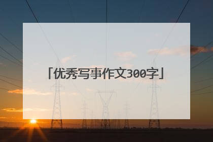 优秀写事作文300字