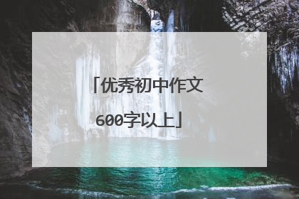 优秀初中作文600字以上