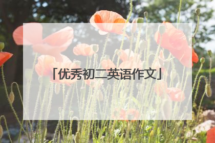 优秀初二英语作文