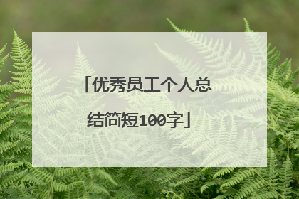 优秀员工个人总结简短100字