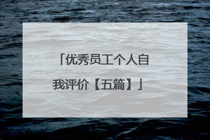 优秀员工个人自我评价【五篇】