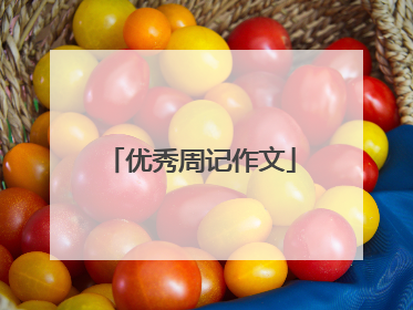优秀周记作文