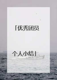 优秀团员个人小结