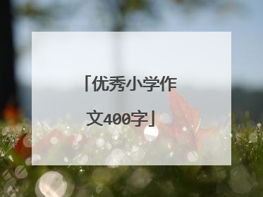 优秀小学作文400字