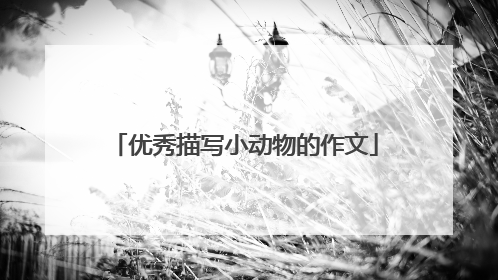 优秀描写小动物的作文