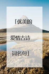 优美的爱情古诗词名句