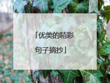 优美的精彩句子摘抄