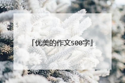 优美的作文500字