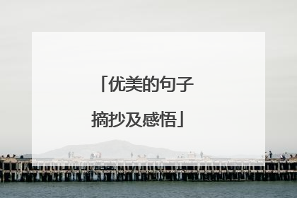 优美的句子摘抄及感悟