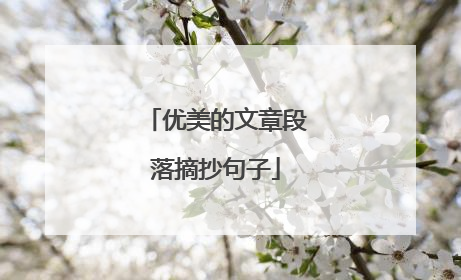 优美的文章段落摘抄句子