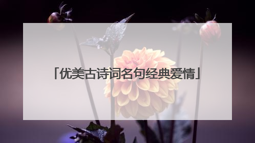 优美古诗词名句经典爱情