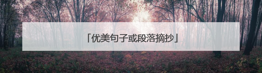 优美句子或段落摘抄