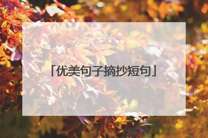 优美句子摘抄短句