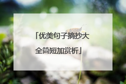 优美句子摘抄大全简短加赏析