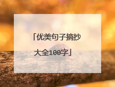 优美句子摘抄大全100字