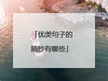 优美句子的摘抄有哪些