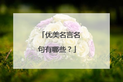 优美名言名句有哪些？