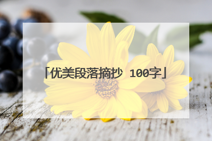 优美段落摘抄 100字