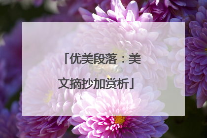 优美段落:美文摘抄加赏析