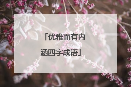 优雅而有内涵四字成语