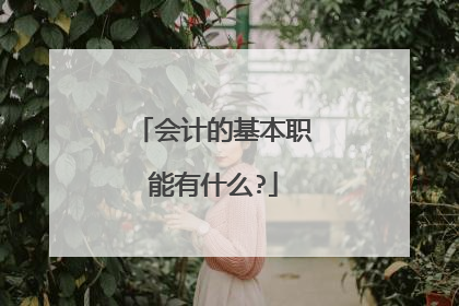 会计的基本职能有什么?