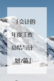 会计的年度工作总结与计划7篇