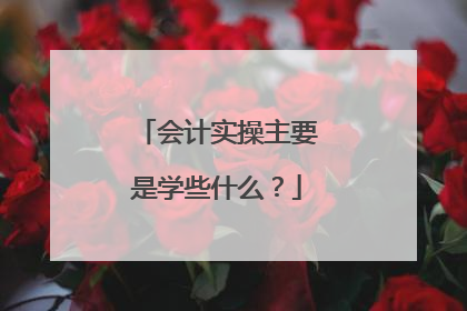 会计实操主要是学些什么？