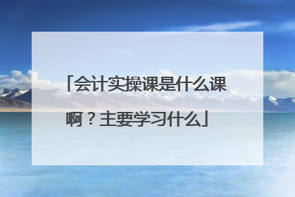 会计实操课是什么课啊?主要学习什么
