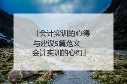 会计实训的心得与建议5篇范文_会计实训的心得