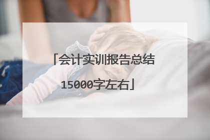 会计实训报告总结15000字左右