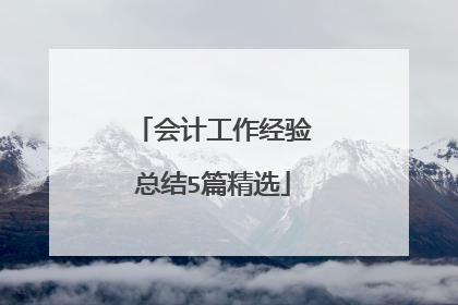 会计工作经验总结5篇精选