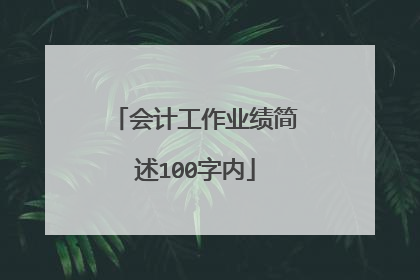 会计工作业绩简述100字内